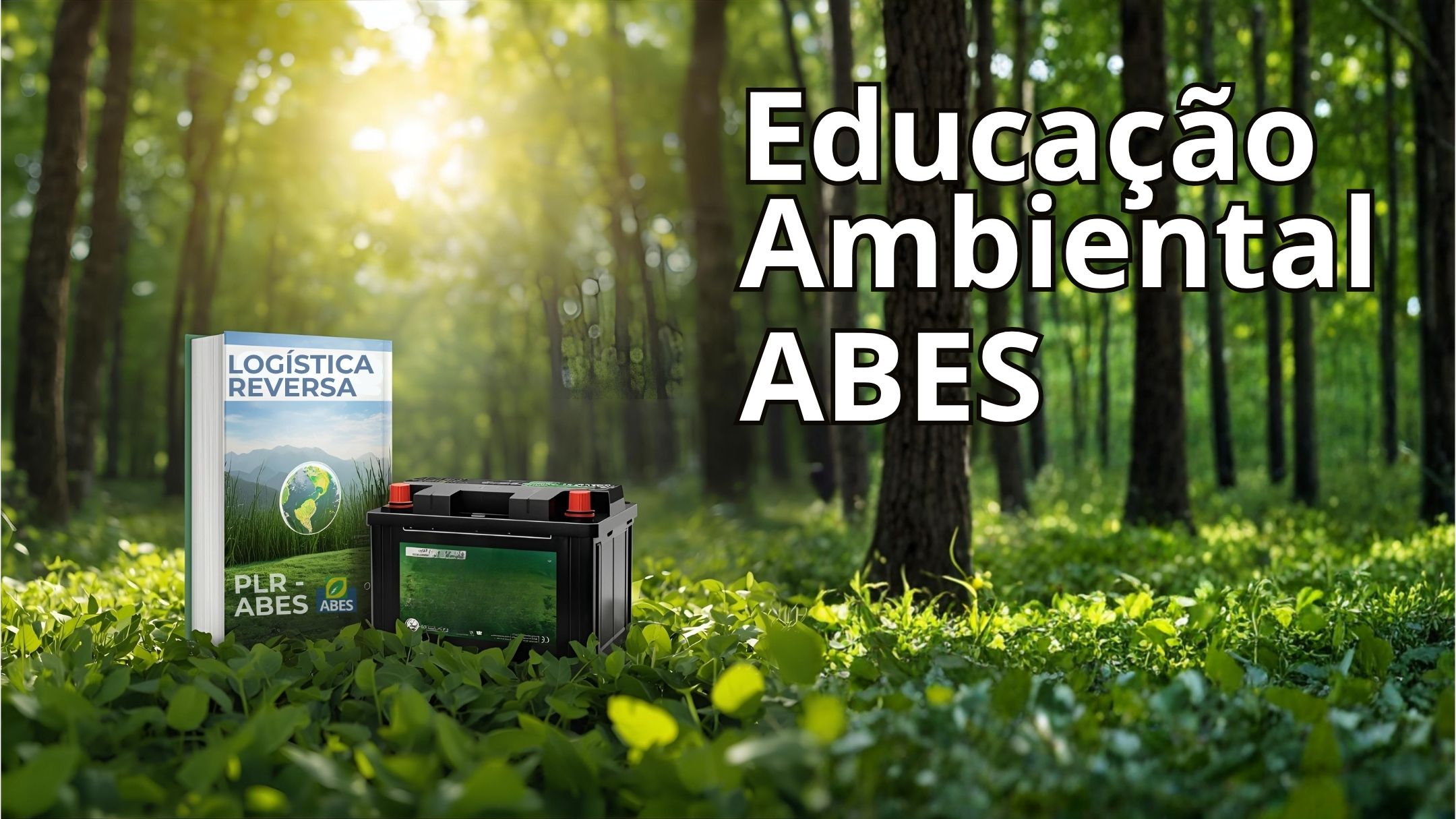 Educação Ambiental